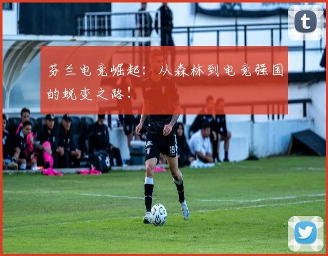 芬兰电竞崛起:从森林到电竞强国的蜕变之路!