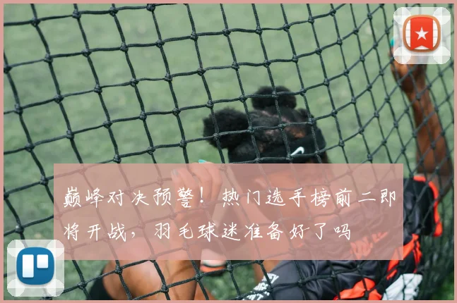 巅峰对决预警!热门选手榜前二即将开战,羽毛球迷准备好了吗